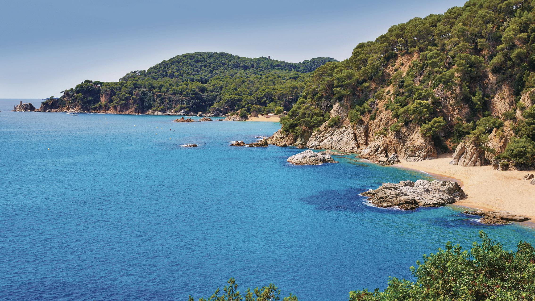 Store vægttab: Se kandidaterne til Årets Taber 2018