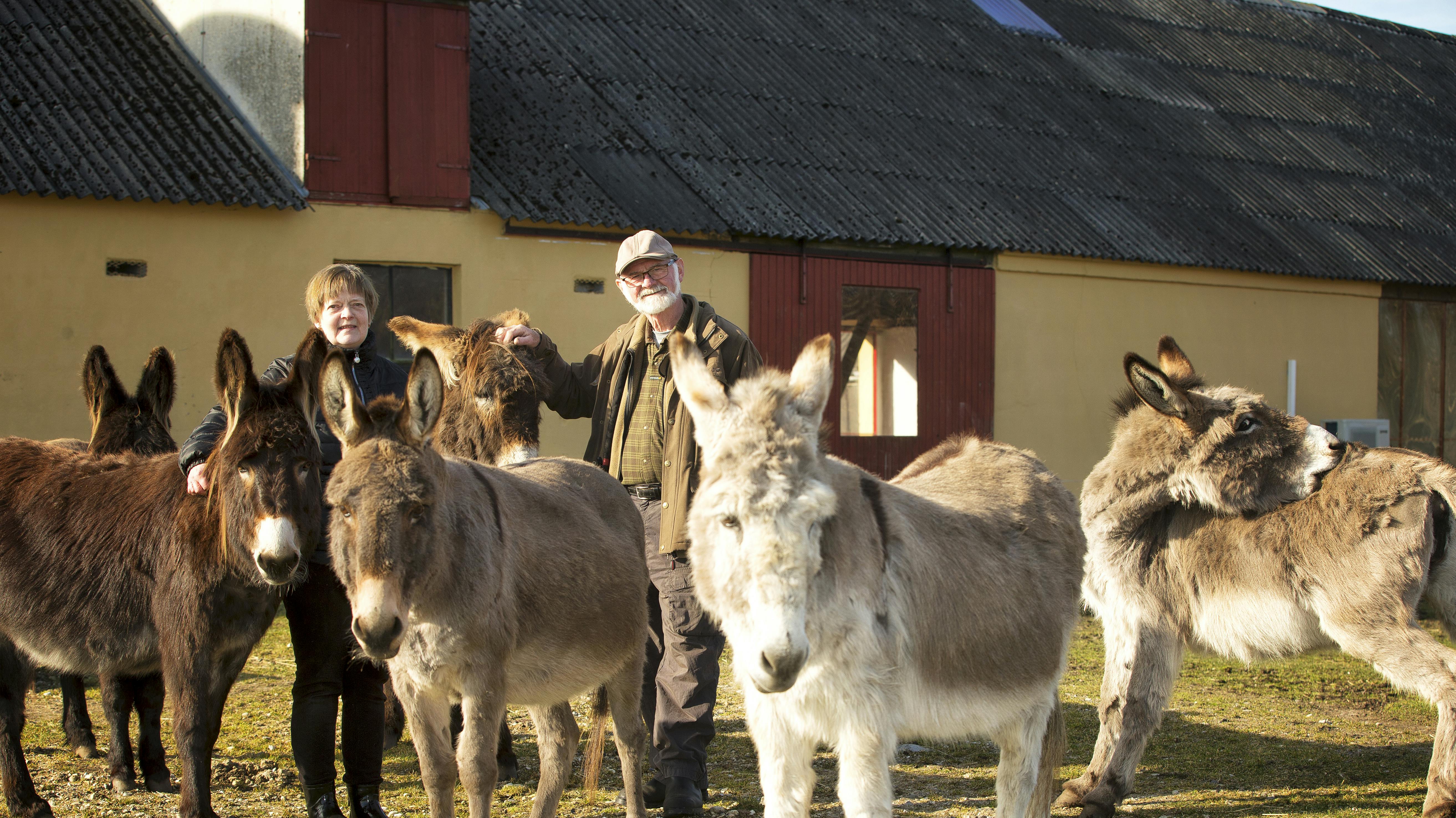 Æsler gør godt for børn med udviklingsforstyrrelser.