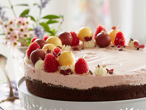https://imgix.familiejournal.dk/media/article/chokoladekage-med-hinbaermouse.jpg