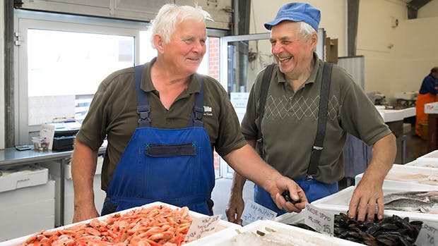 De gamle fiskere er for længst gået i land