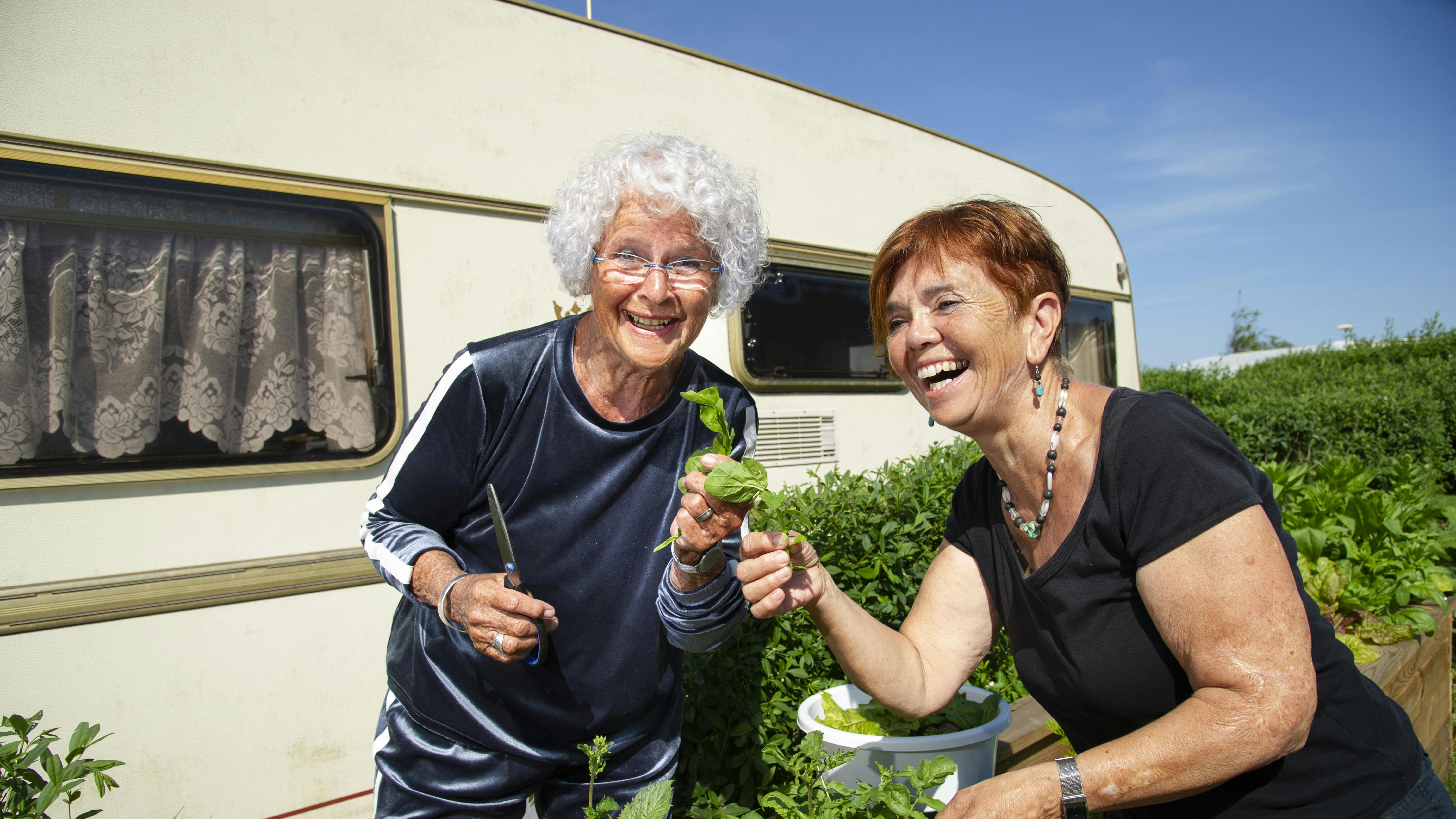 To kvinder på campingplads