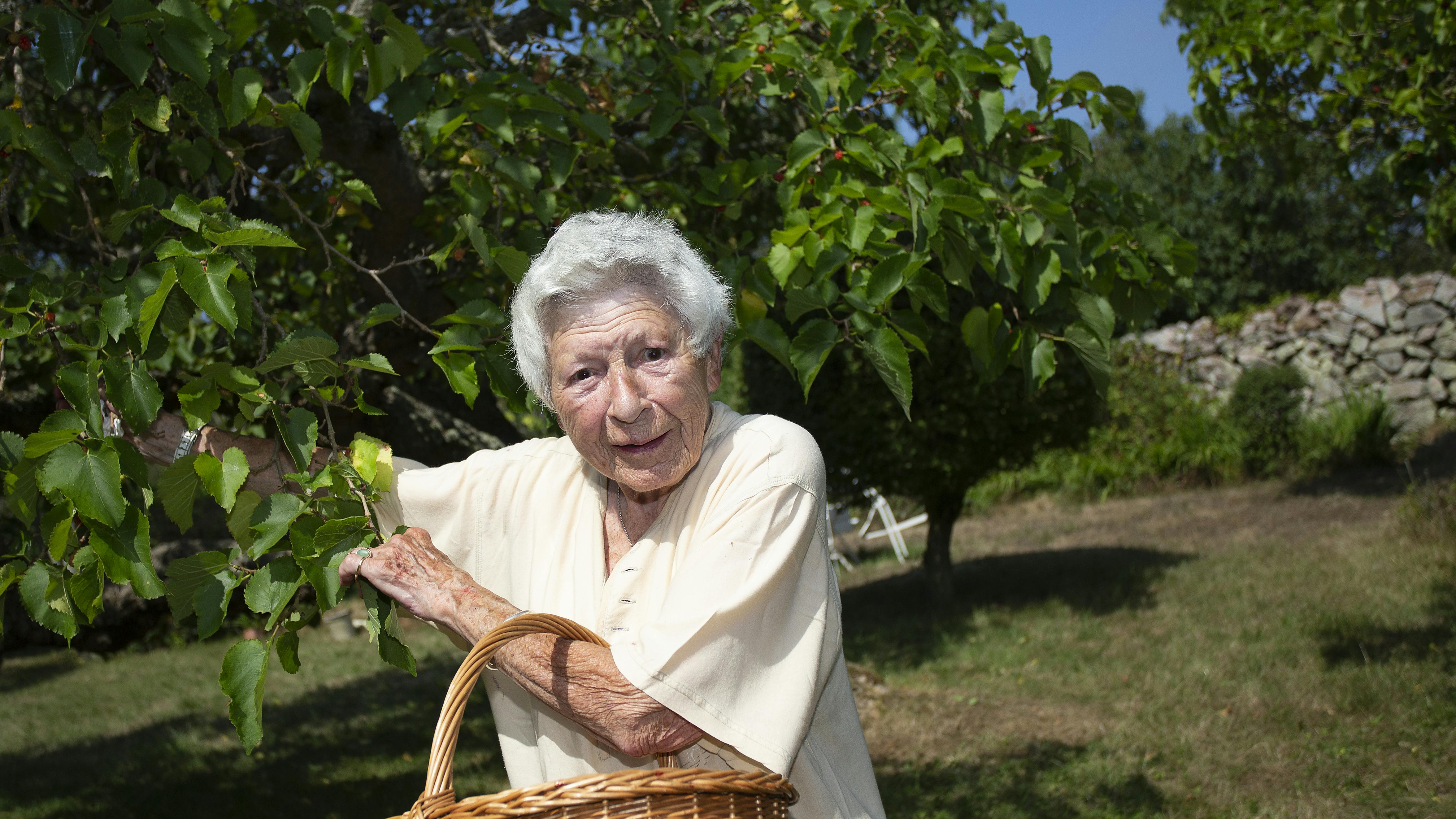 Kvinde samler æbler