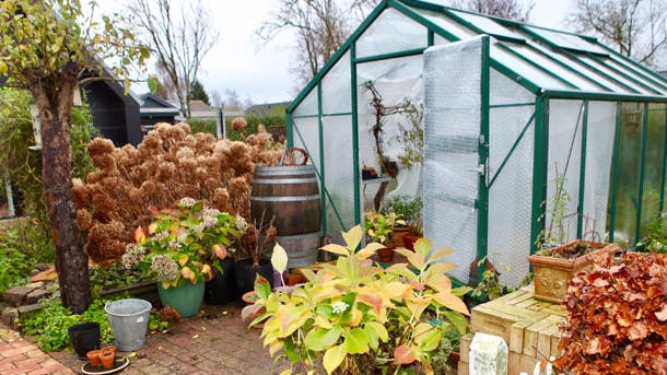 Drivhus med bobleplast