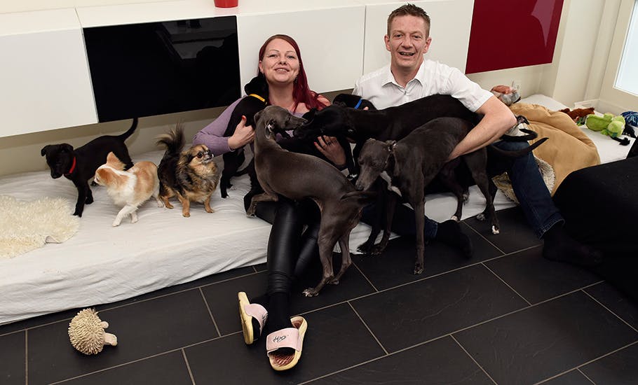 Dan og Helle bor sammen med 11 hunde 