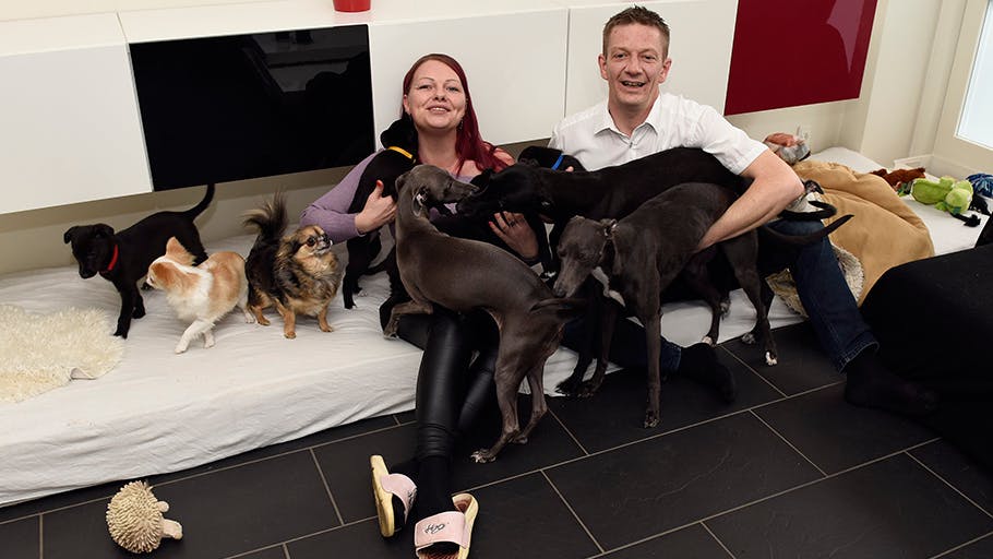 Dan og Helle bor sammen med 11 hunde