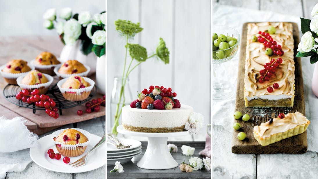 Brug sommerens bær i dine hjemmebagte kager. Det smager skønt! Her får du tre opskrifter på skønne kager med bær.