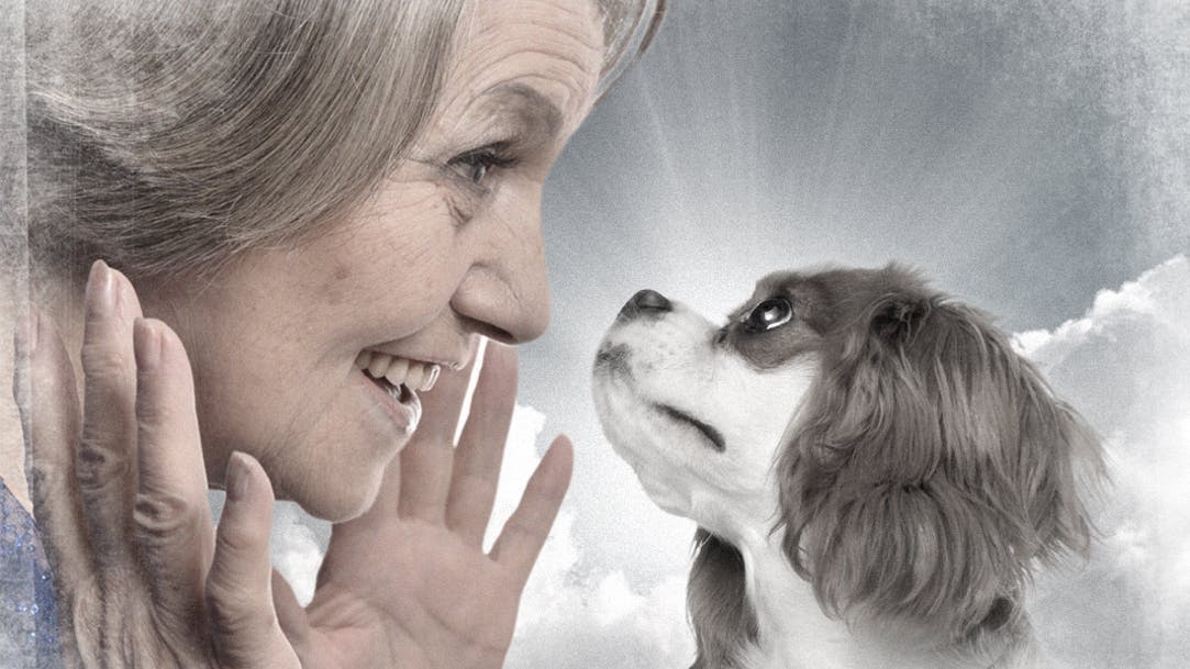 Charlie har fjernet min ensomhed