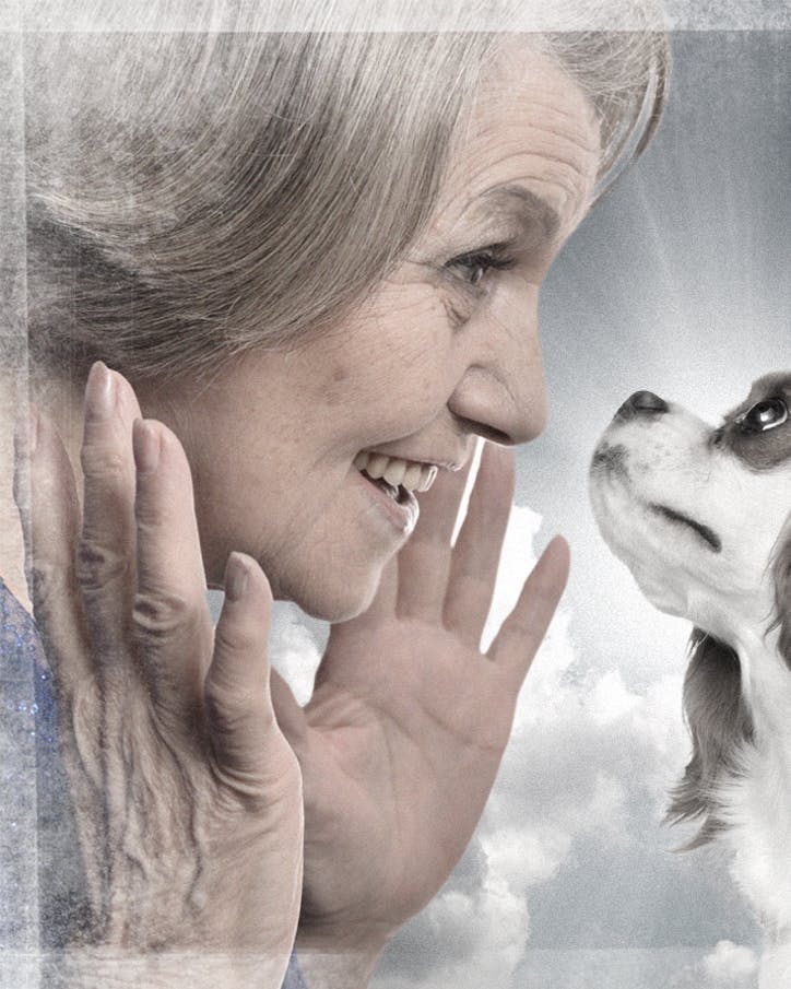 Charlie har fjernet min ensomhed