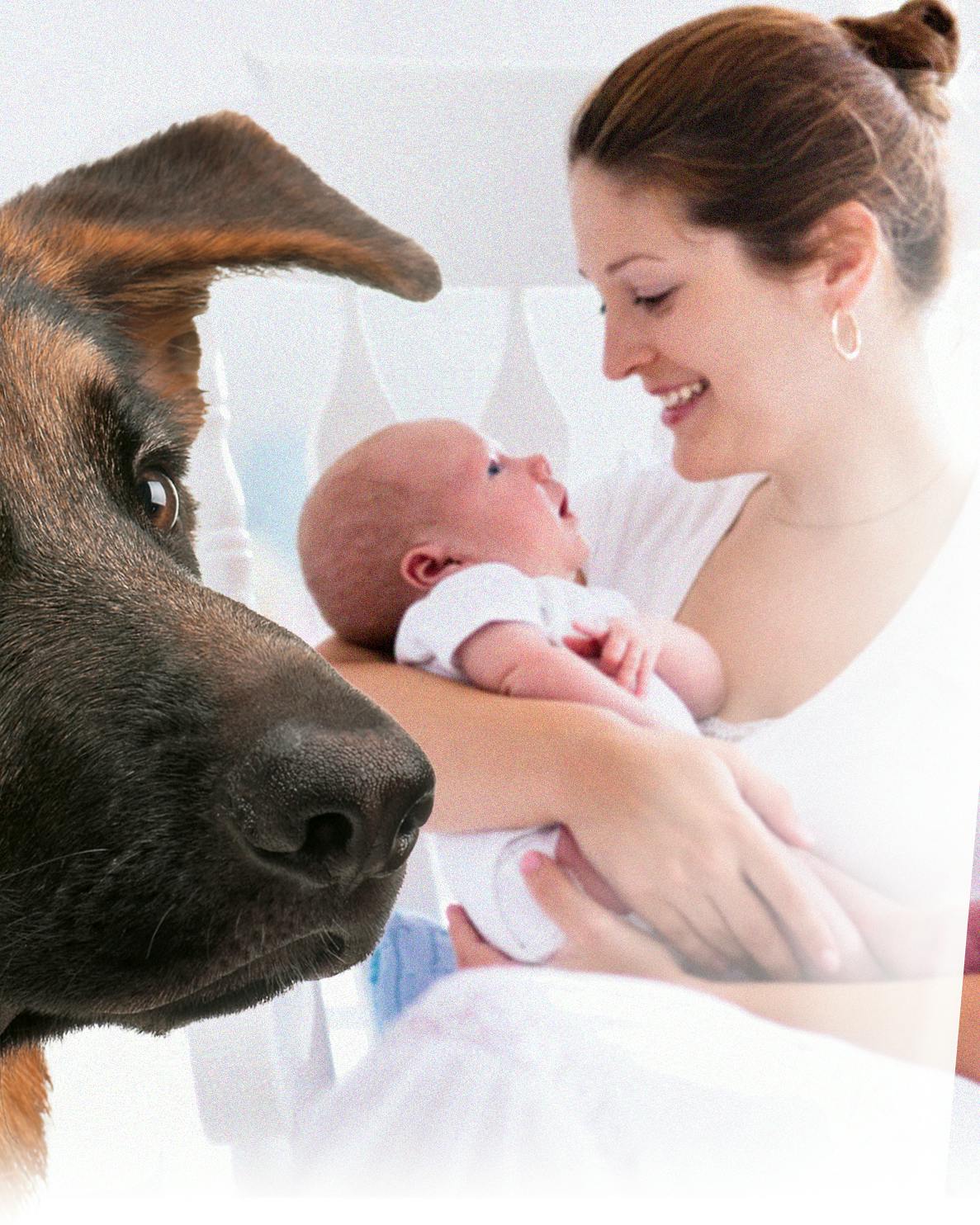 Vores schæfer var verdens bedste barnepige