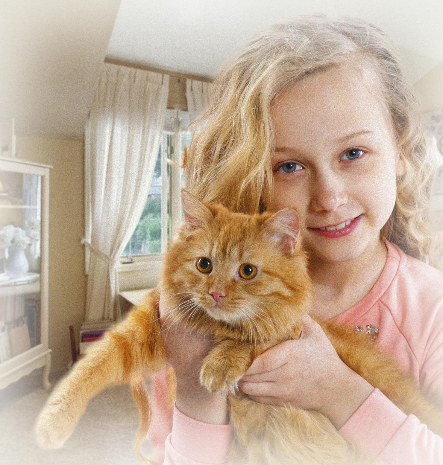 https://imgix.familiejournal.dk/media/article/fj41_lf2_vores_kat_fandt_sel_paa_raad.jpg