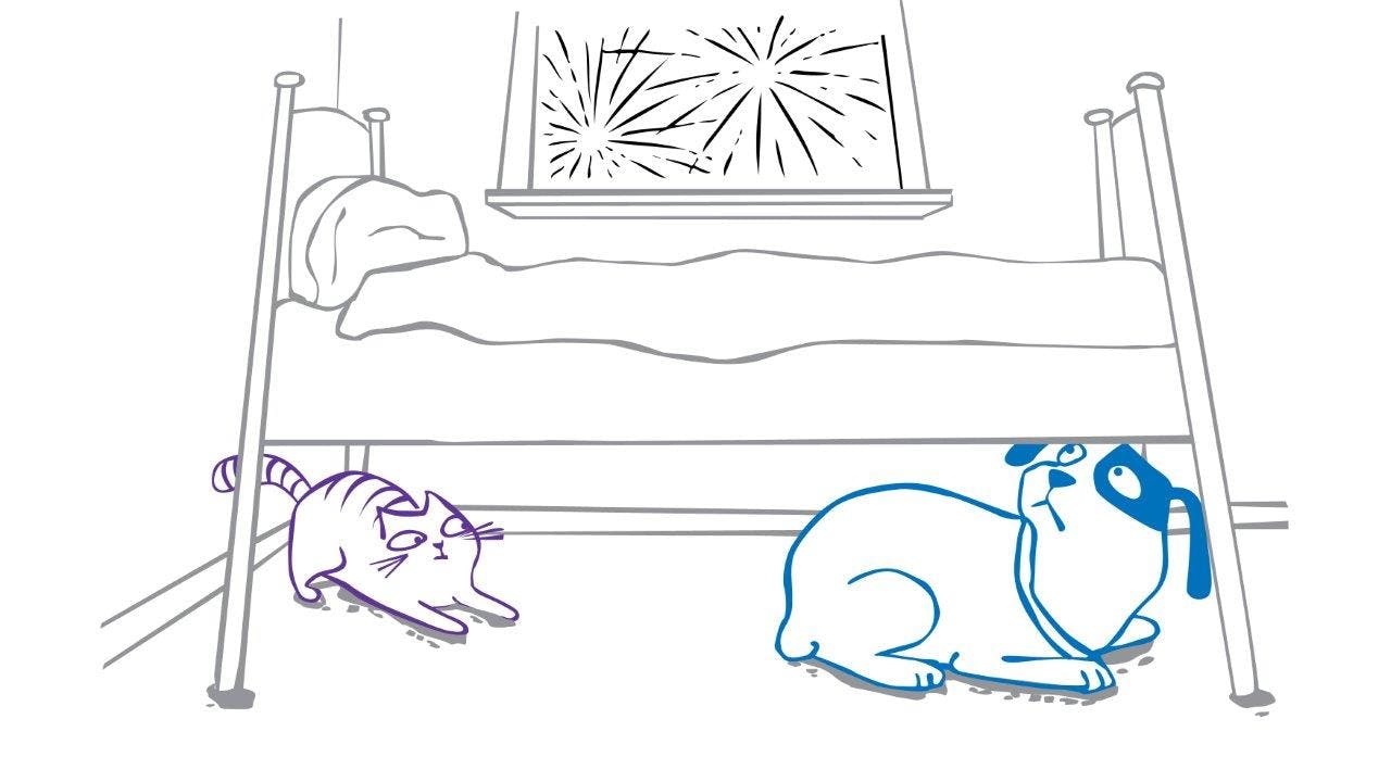 forbered dit kæledyr på jul og nytår