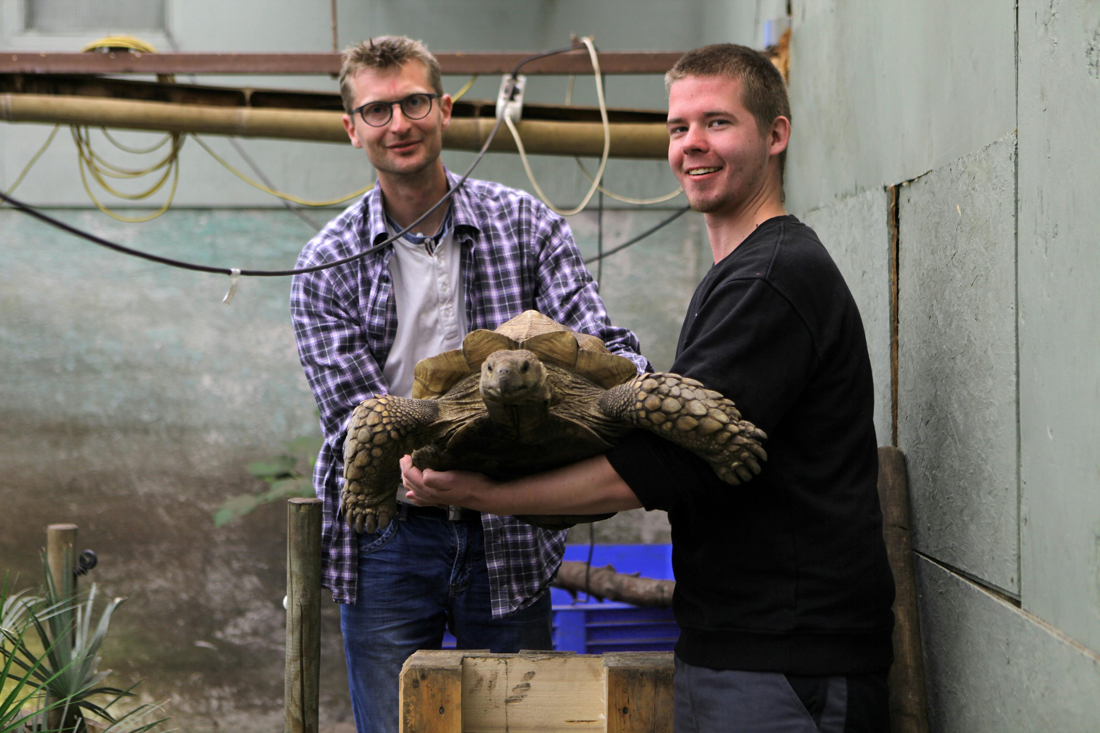 Frederik arbejder med vilde dyr i Lindstrup zoo