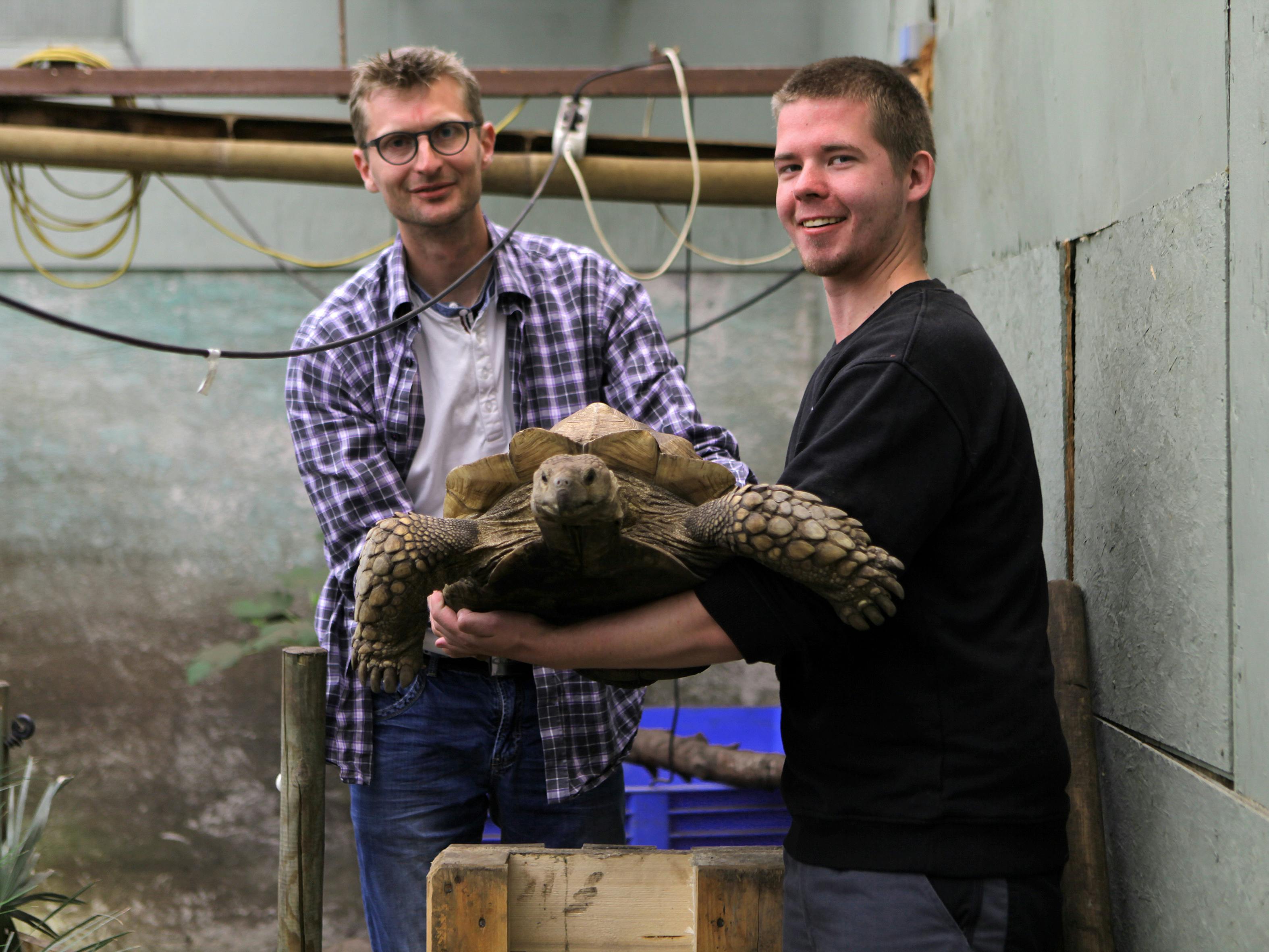 Frederik arbejder med vilde dyr i Lindstrup zoo