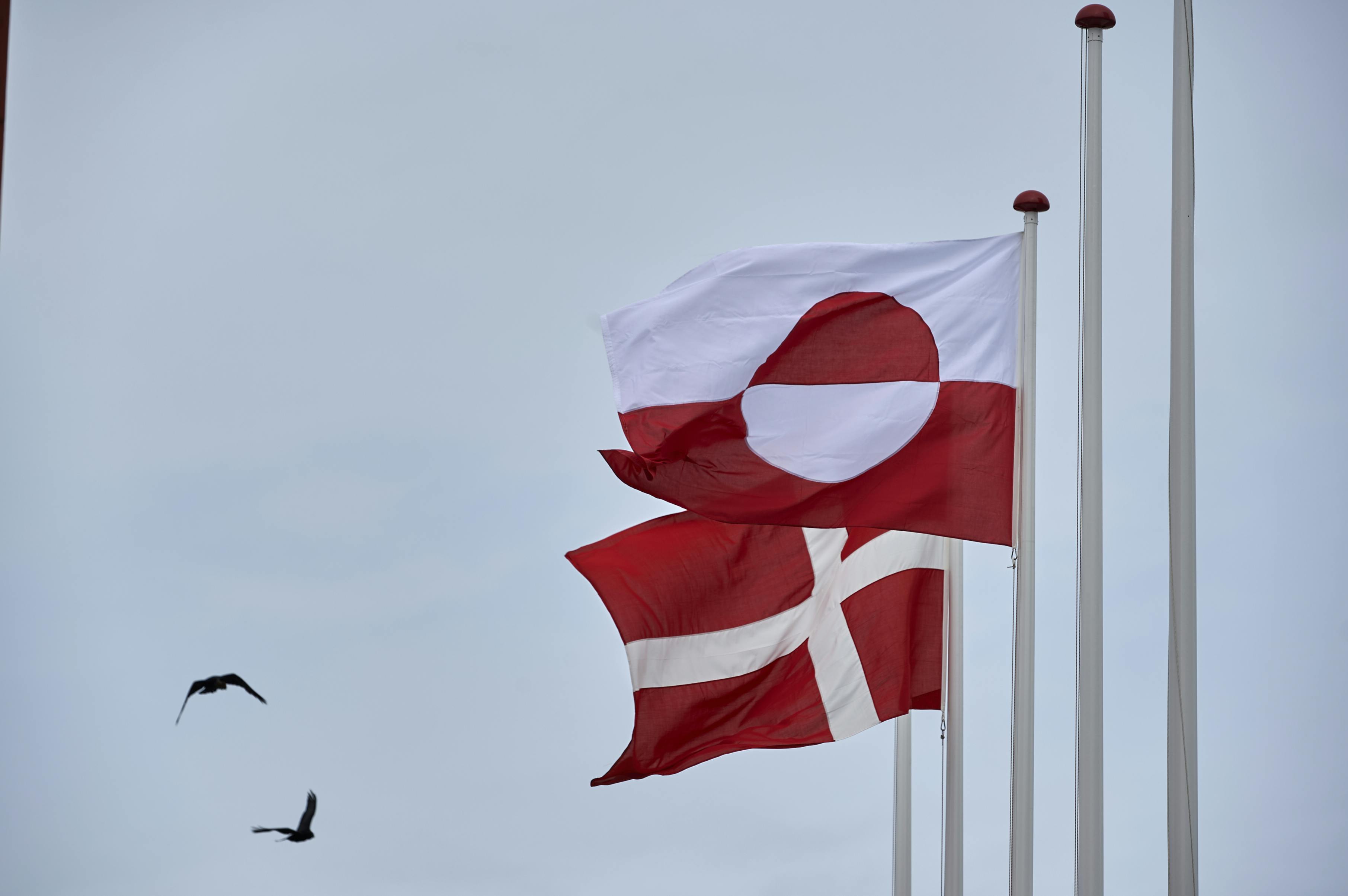 Flag fra Grønland og Danmark - vejrer i vinden