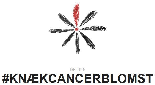 knæk cancer blomst