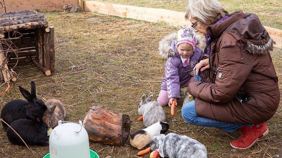 Vinterferie: Velkommen til dyrenes paradis