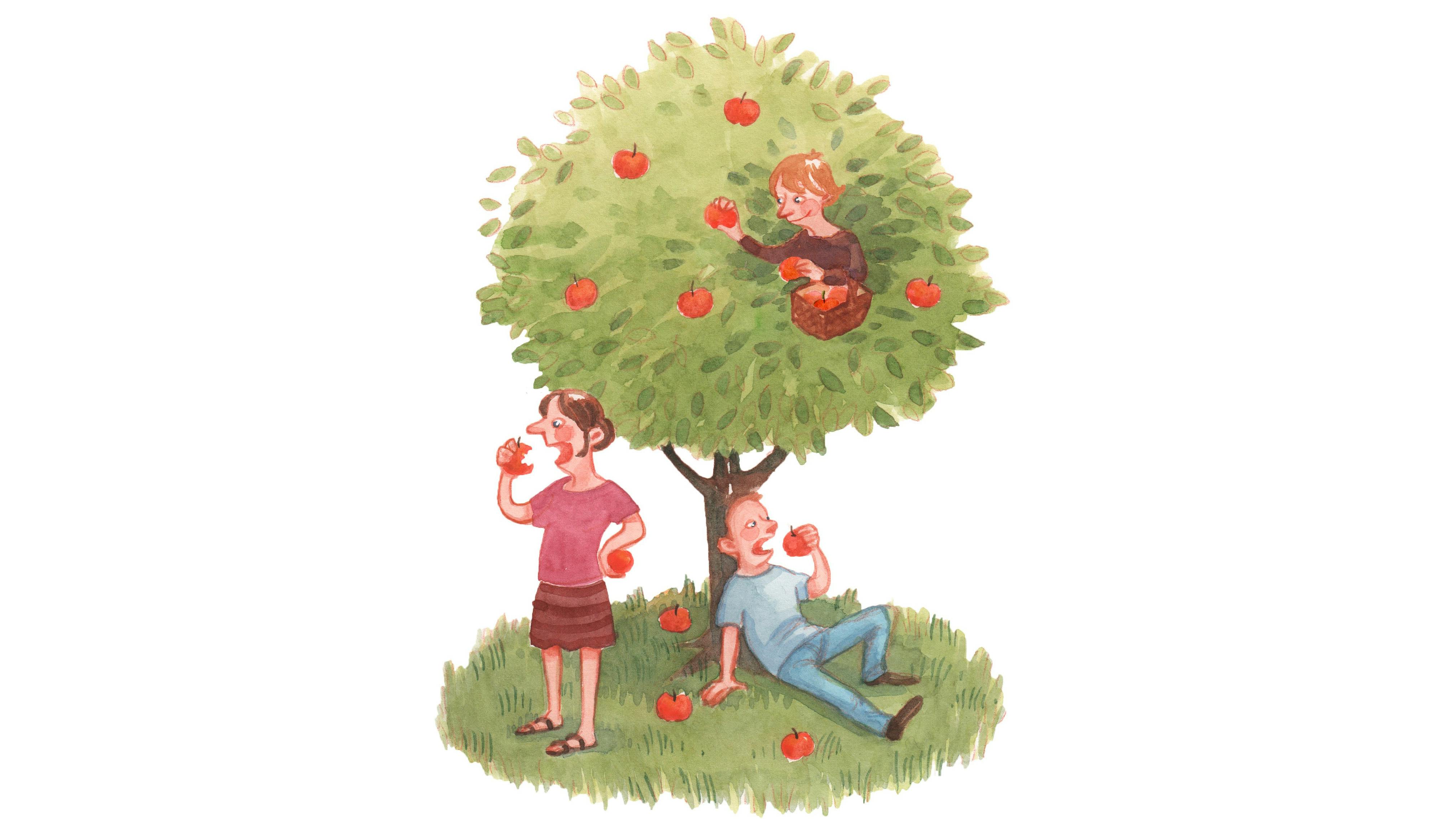 Puks brevkasse: Gæsterne plyndrer min have