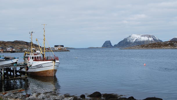 Rejs til Nordkap på arktisk eventyr nord for polarcirklen og oplev storslået natur og vildt dyreliv