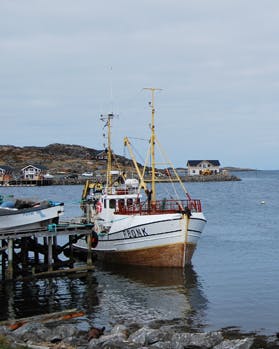 Rejs til Nordkap på arktisk eventyr nord for polarcirklen og oplev storslået natur og vildt dyreliv