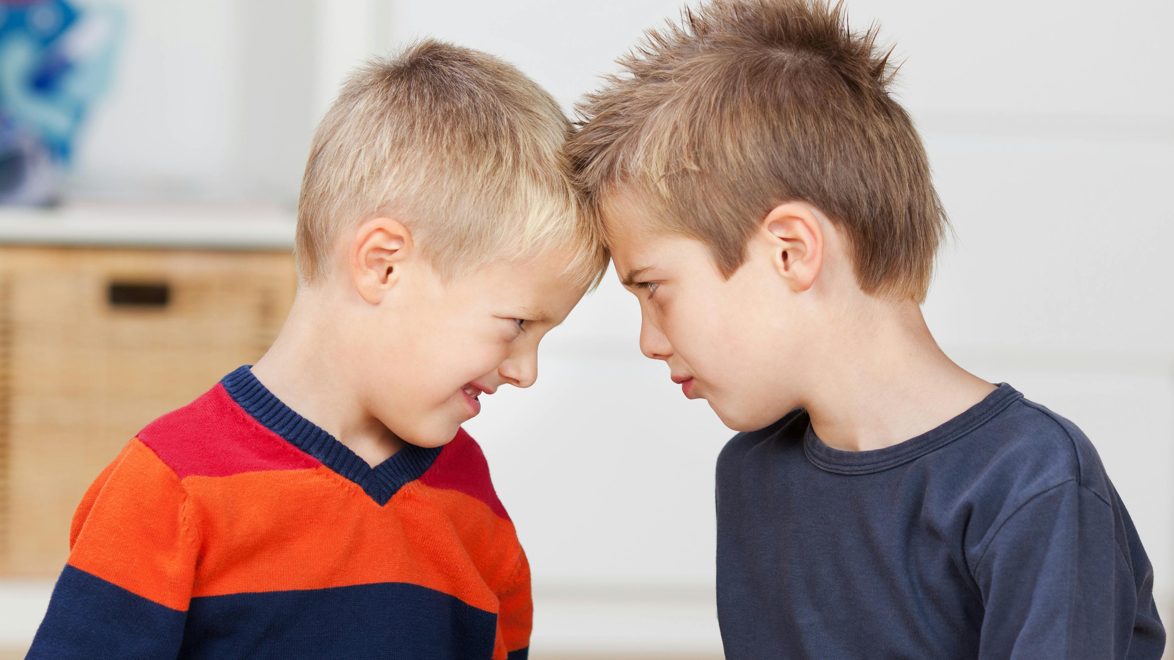 Læser til Puk: Min søn er sur på min kærestes søn