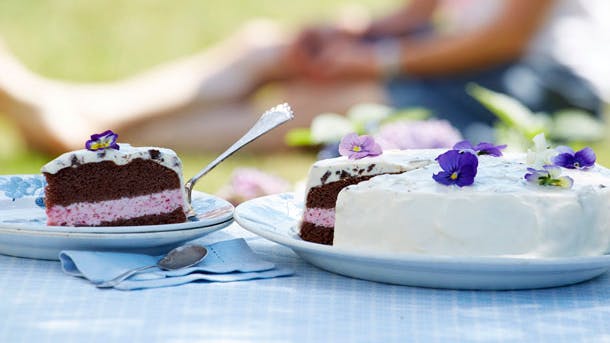 Hindbær-chokolade-islagkage