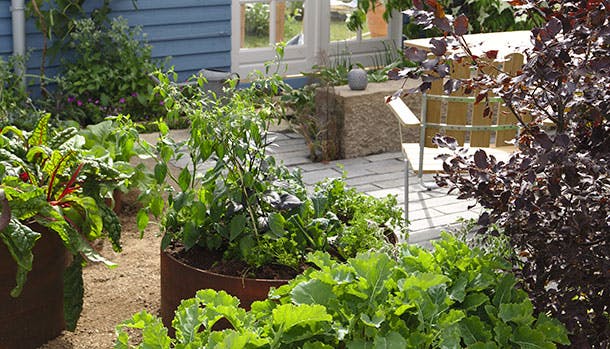 https://imgix.familiejournal.dk/media/article/staudebed-01.jpg