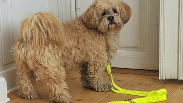 Foto: Jette M. Vesterager