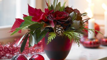 Foto: Jette M. Vesterager