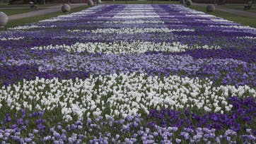 Foto: Mette Østergaard