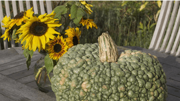 Foto: Mette Østergaard