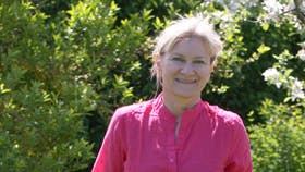 Dette lille jordbærbarn er lige blevet taget frasin mor og skal midlertidigt i kuvøse i skyggen.Jeg må have en snor om fingeren, så jeg huskerat bruge min vandkande flittigt!Foto: Anne-Marie Øby