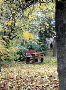 https://imgix.familiejournal.dk/media/c2ec91caad424e9c8c3918e67037fdd0.jpg