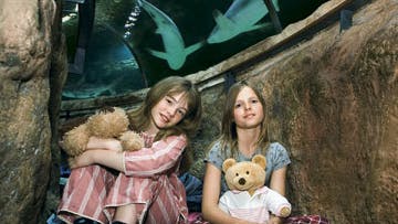 Foto: Flemming Nielsen