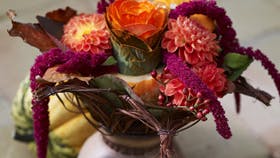 Foto: Jasper Simonsen