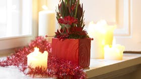 Foto: Jette M. Vesterager