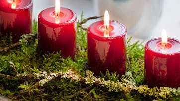 Mos er naturens gave op til jul. Brug det i dekorationer - her kan børnene også være med. Foto: Istockphoto