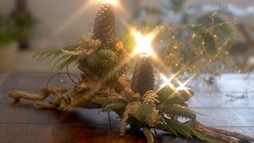 Foto: Jette M. Vesterager