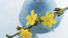 Foto: All Over og Anjo Foto