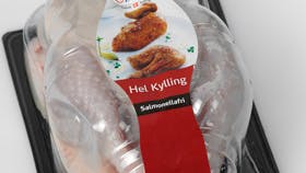 Fotos: Flemming Nielsen