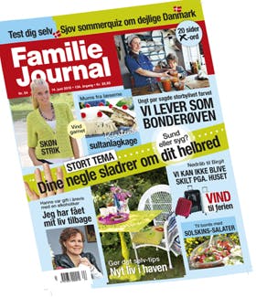 Familie Journal, der er på gaden mandag 14. juni 2010