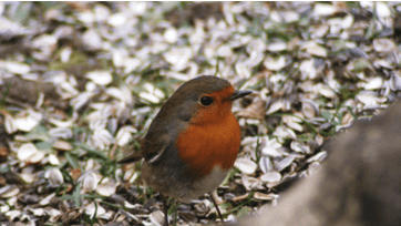 Foto: Jette Ladegaard