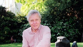 De eneste aber, tv-manden har i dag, er af stenog står i hans have i Richmond