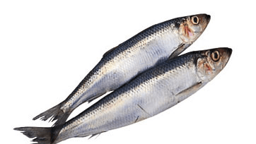 Foto: All Over Press