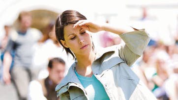 Foto: All Over, Bulls, Anjo Foto, Colourbox