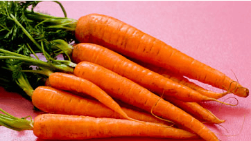 Foto: Bjørn Jakobsen