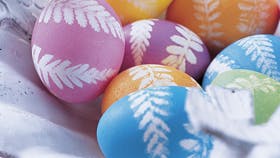 Foto: Jette M. Vesterager