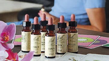 Foto: All Over, Bulls, Anjo Foto, Colourbox