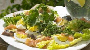 Lækker sommer-salat med laks, sild og æg