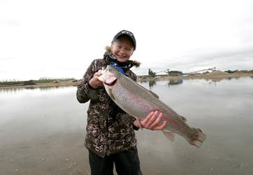 Foto: Nordisk Naturfoto