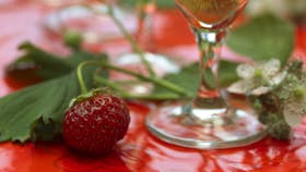 Velkomstdrink: Pink fizz med champagne, jordbær og lime